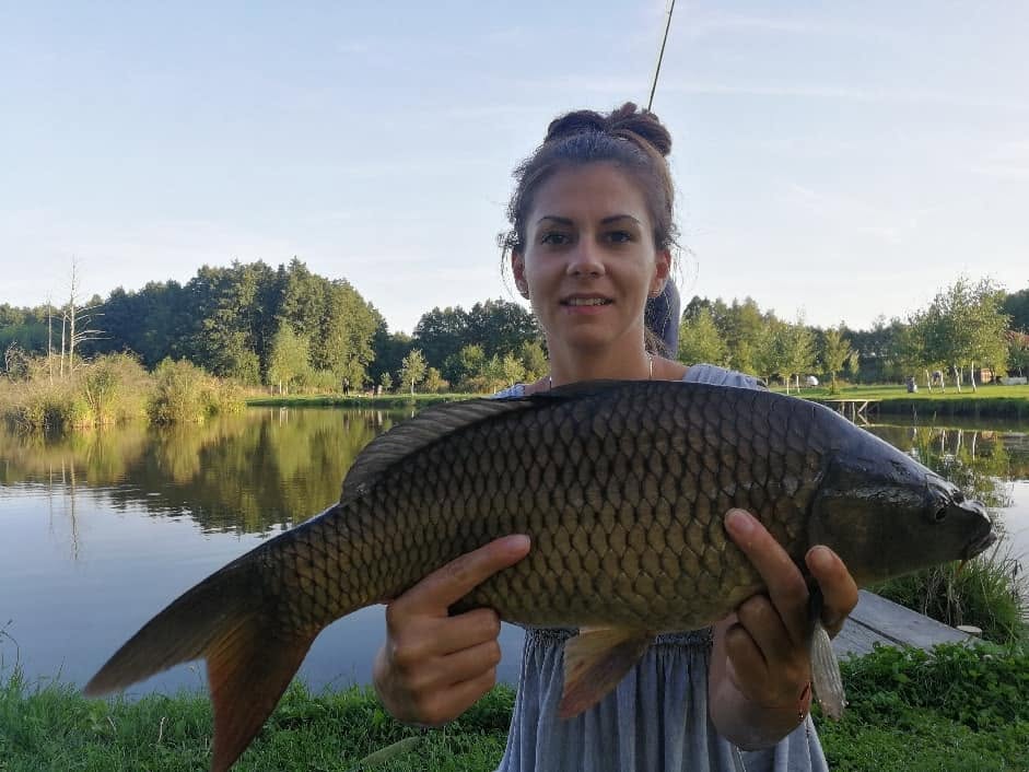 Łowisko wędkarskie Borek – zdjęcie łowiska 2