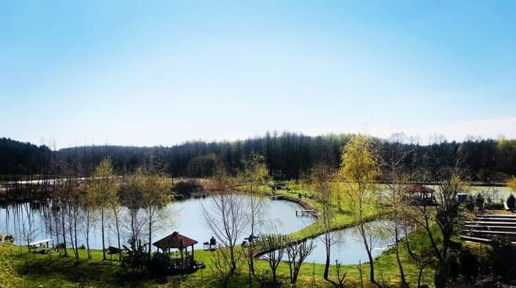 Łowisko wędkarskie Borek – łowisko