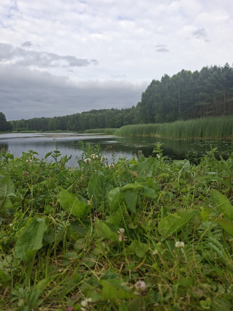 Nowe marzy – łowisko