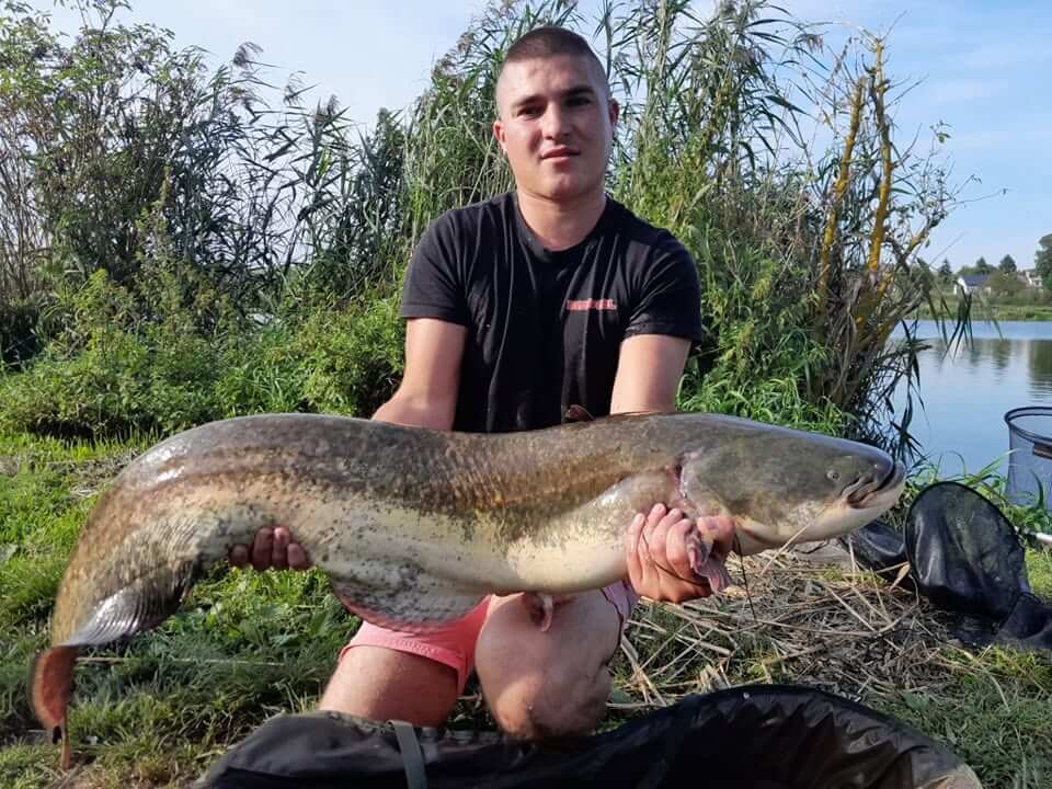 Karp Nakielski – zdjęcie łowiska 3