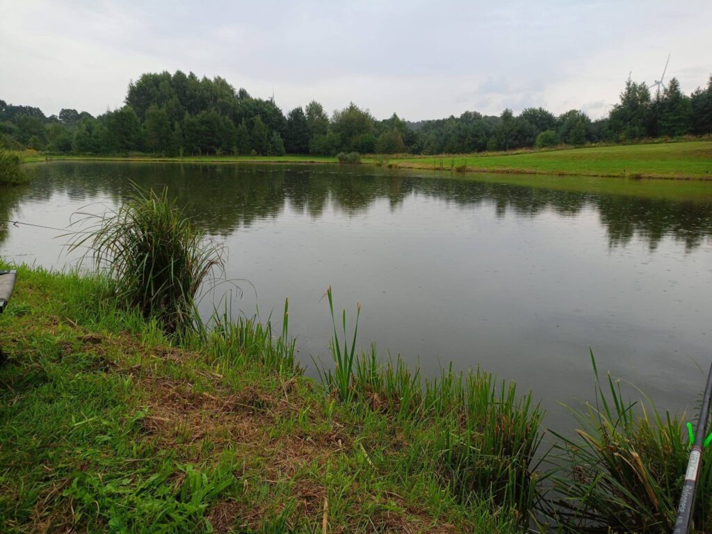 Łowisko Kołatka – zdjęcie łowiska 1